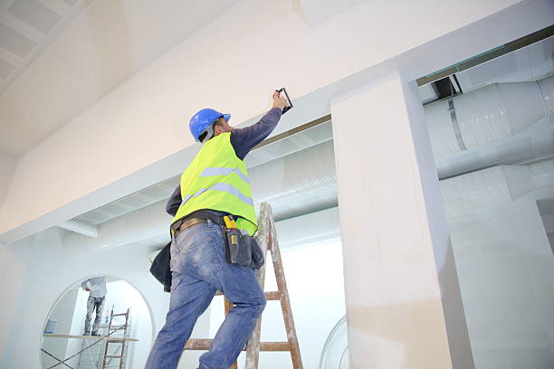 Best Ceiling Drywall Installation  in Lake Wazeecha, WI